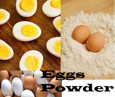 Eggs Powder