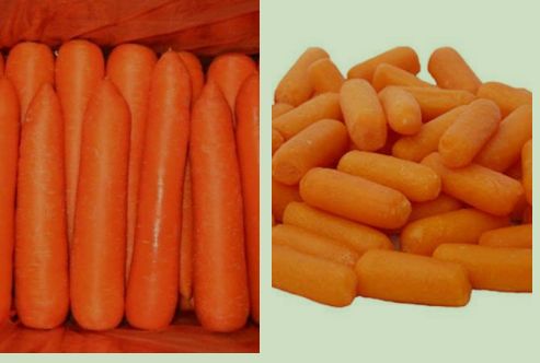 IQF/ Frozen Baby Carrot