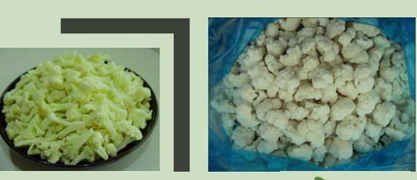IQF/Frozen Cauliflower Florets