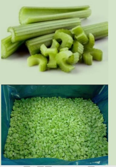 IQF/ Frozen Celery