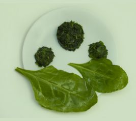 IQF/Frozen Spinach Puree