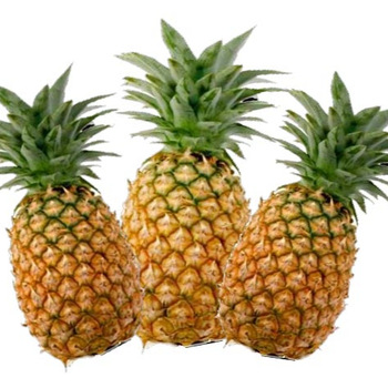 Fresh Pineapple