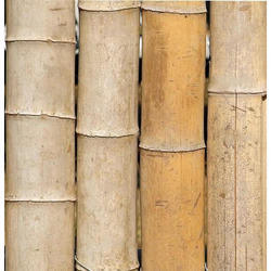 Murli Bamboo Pole