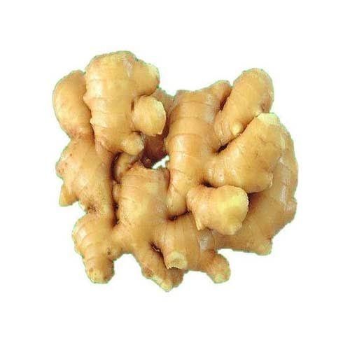 Dried Ginger Herb
