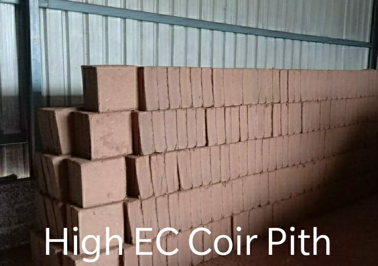 High EC Coir Pith Block