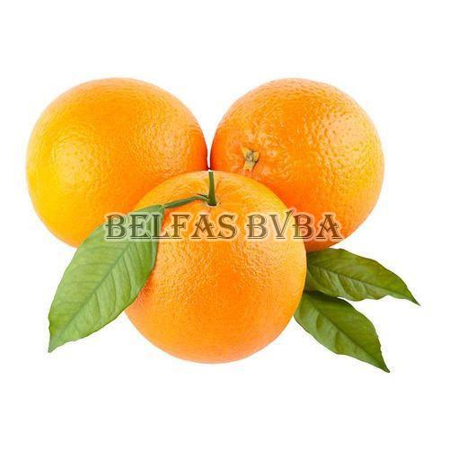 Fresh Valencia Orange