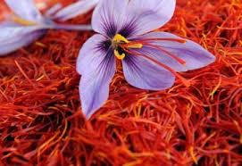 Saffron Herb