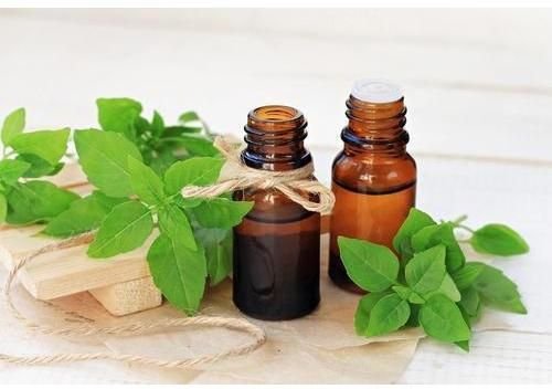 Basil Essential Oil
