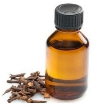 Clove Oleoresin