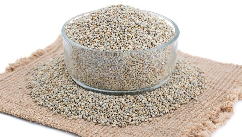 Millet Seeds