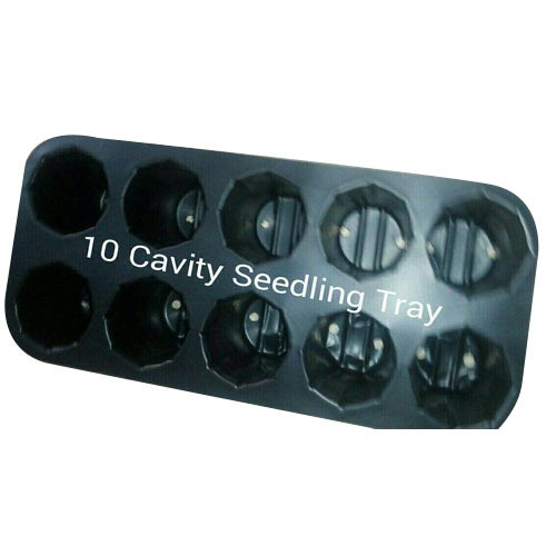 10 Cavity Seedling Trays