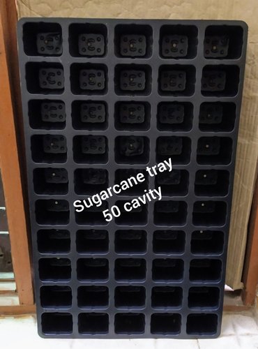 50 Cavity Sugarcane Seedling Trays
