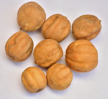 Dried Yellow Lemon