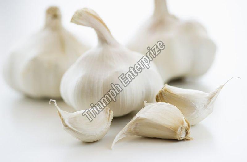 Fresh Organic  Garlic