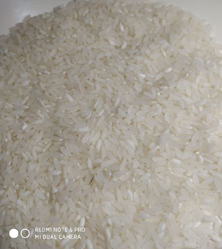 Non Basmati Swarna Masoori Raw Rice