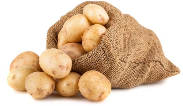 Fresh Gujarat Potato
