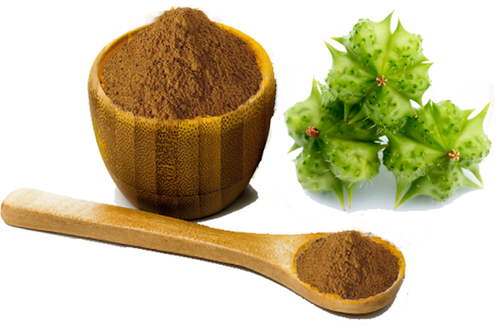 Gokhru Extract 20%40%