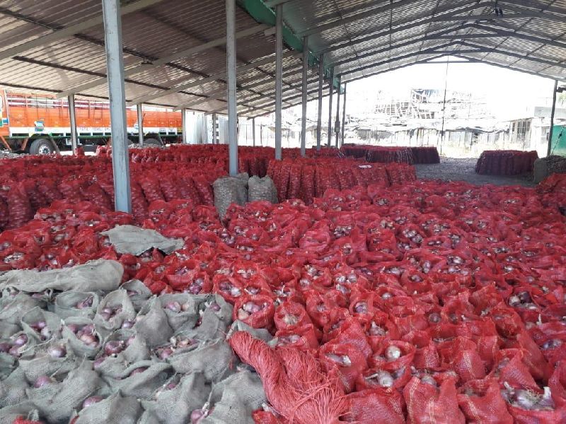 Godown Mesh Packed Onion,Godown Mesh Packed Onion Suppliers in Nashik