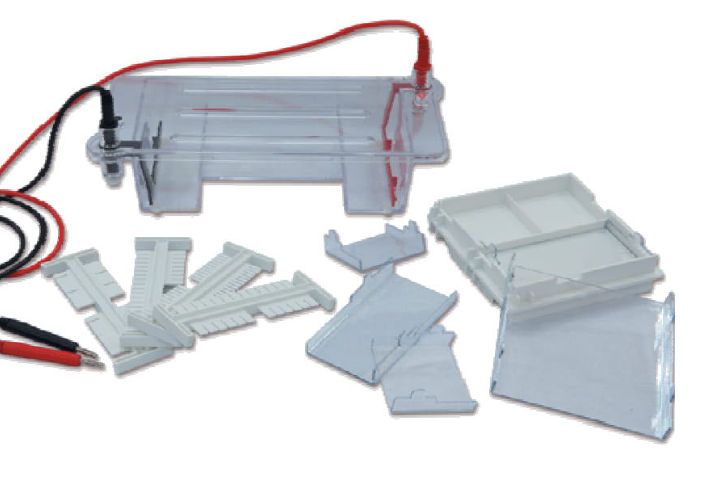 BICP-31DN Electrophoresis Cell