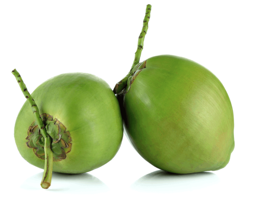 Hybrid Green Coconut