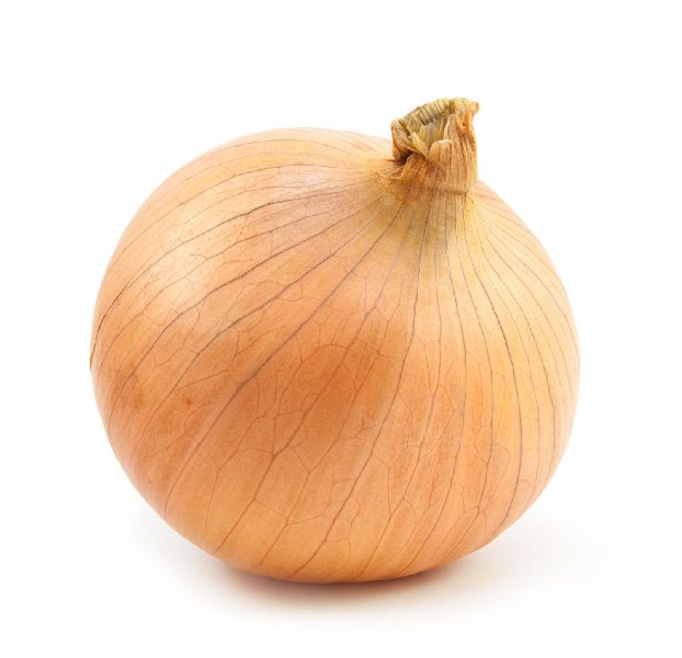 Fresh Sweet Onion
