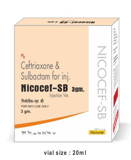 Nicocef-SB 3gm Injection