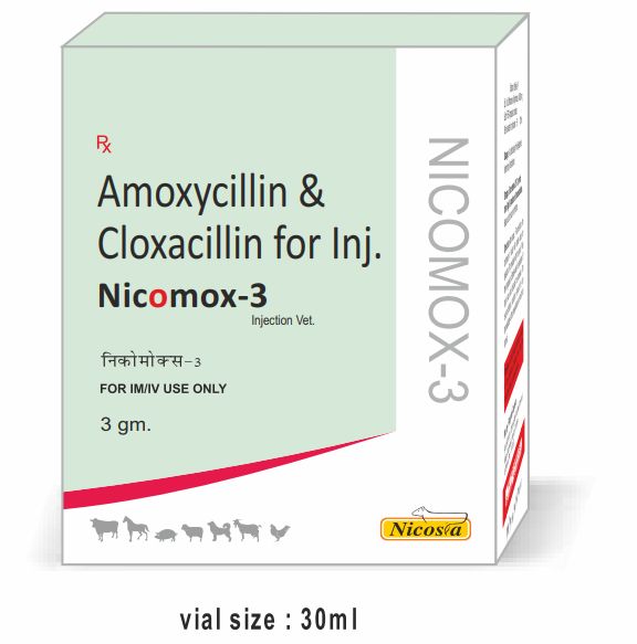 Nicomox 3gm Injection