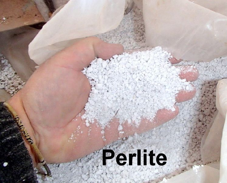 Perlite Powder