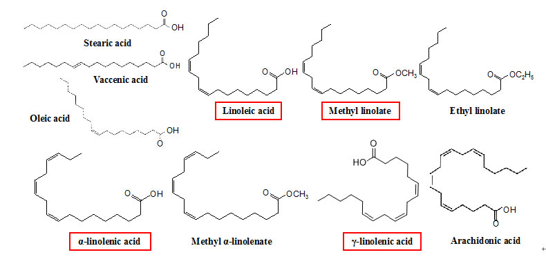 Fatty Acid Methyl Ester Fatty Acid Methyl Ester 3 Level Fatty Acid