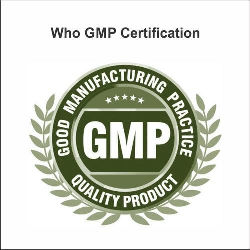 GMP Certification Services