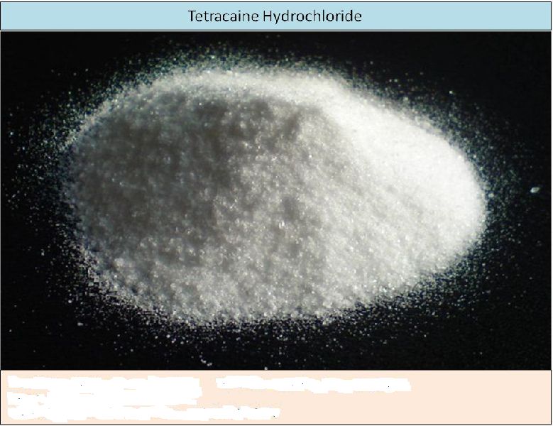 Tetracaine Hydrochloride Powder