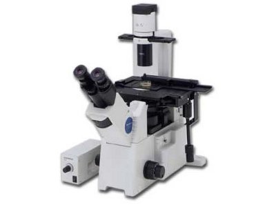 Olympus Inverted Microscope