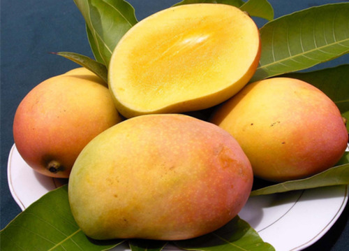 Fresh Rajapuri Mango