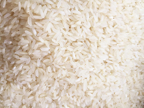 Sona Masoori Steam Rice