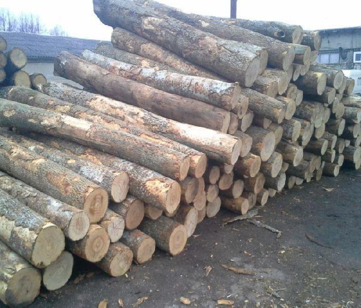 Ash Round Logs