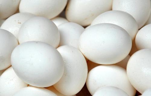 White Broiler Egg
