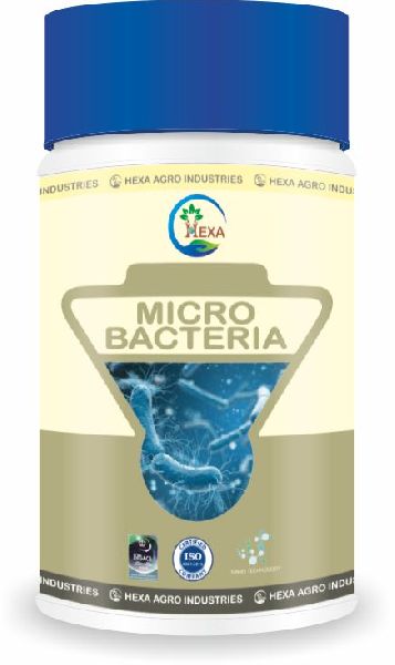 Micro Bacteria