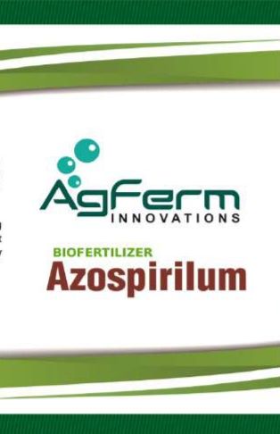 Agferm Azospirilim Biofertilizer