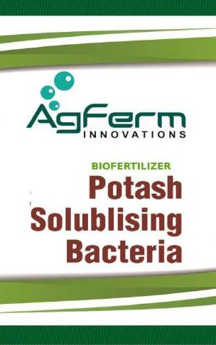 Potash Solubilizing Bacteria Biofertilizer
