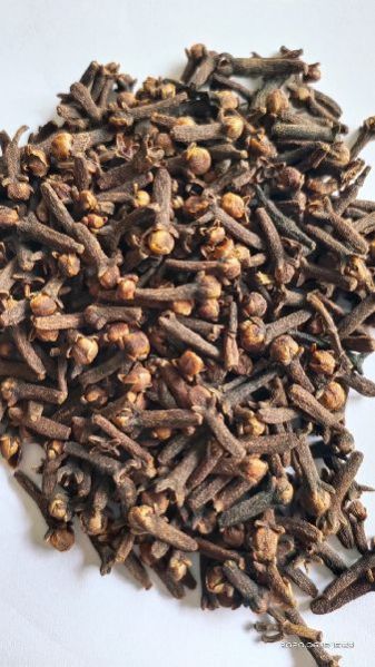Clove Seeds