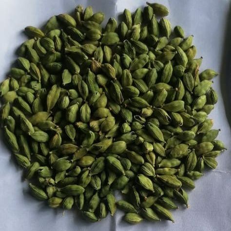 Mini Green Cardamom