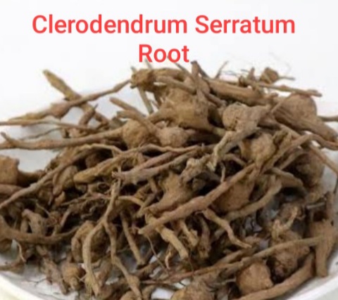 Clerodendrum Serratum Root