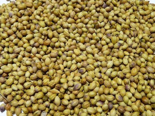 Ethiopia Coriander Seeds