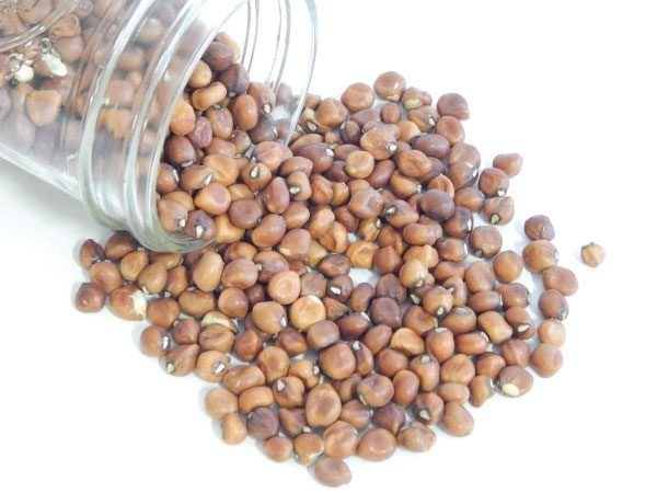 Cow Pea Seeds