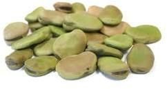 Fava Beans