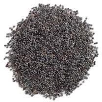 Poppy Seeds