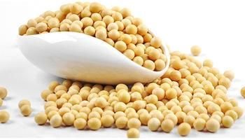 Soybean Seeds