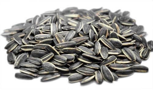 Sunflower seeds