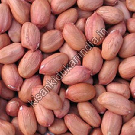 Groundnut Seeds