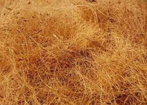 Coir Fiber